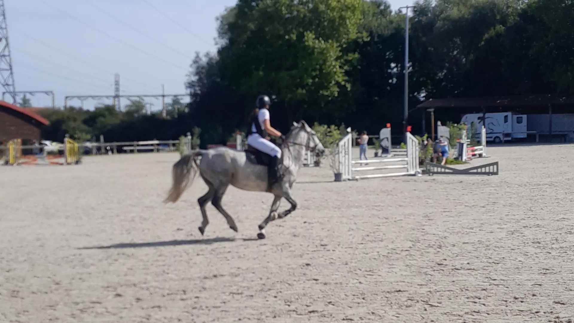 Équitation classique