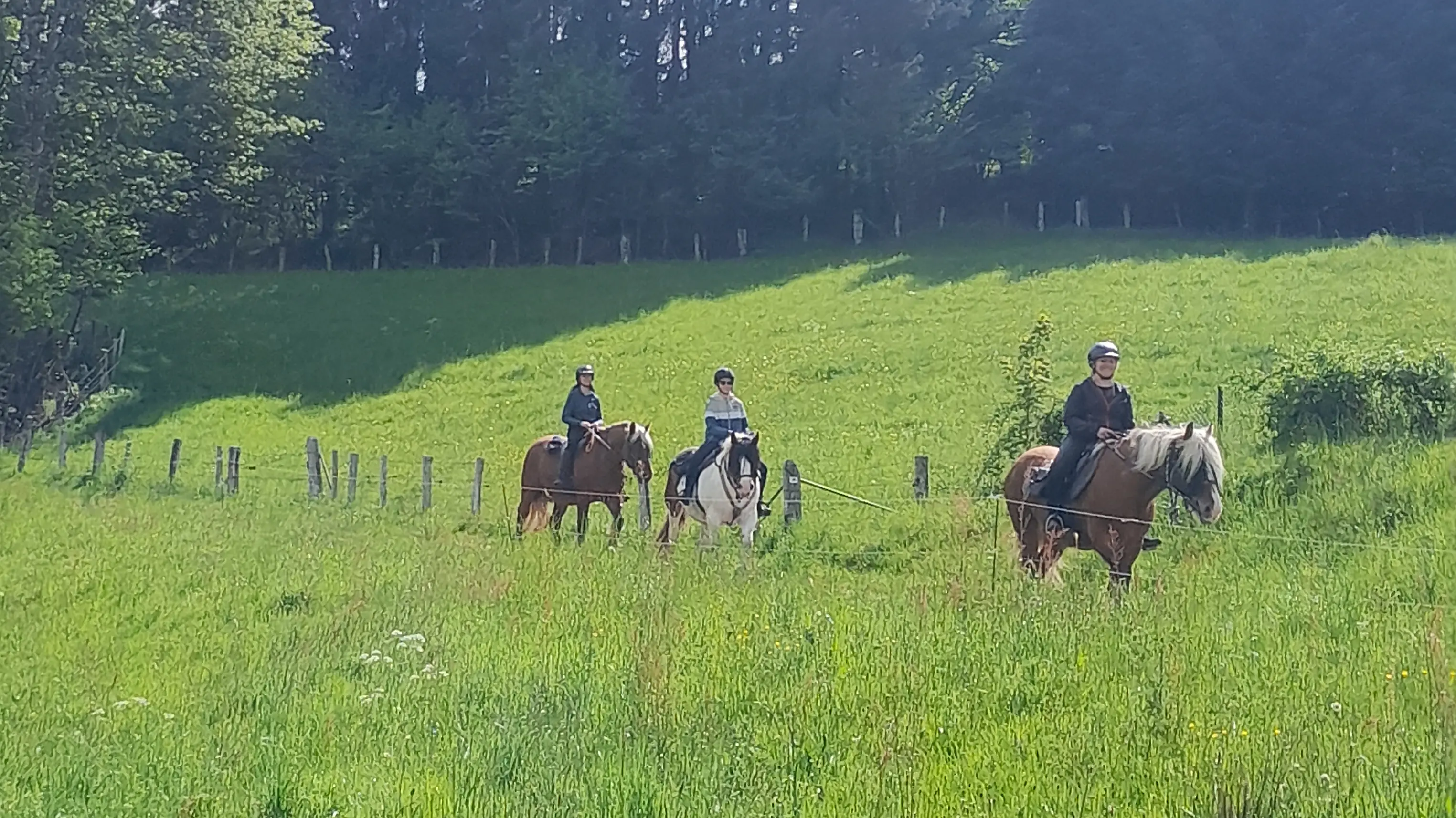 Ballade à cheval pour débutant