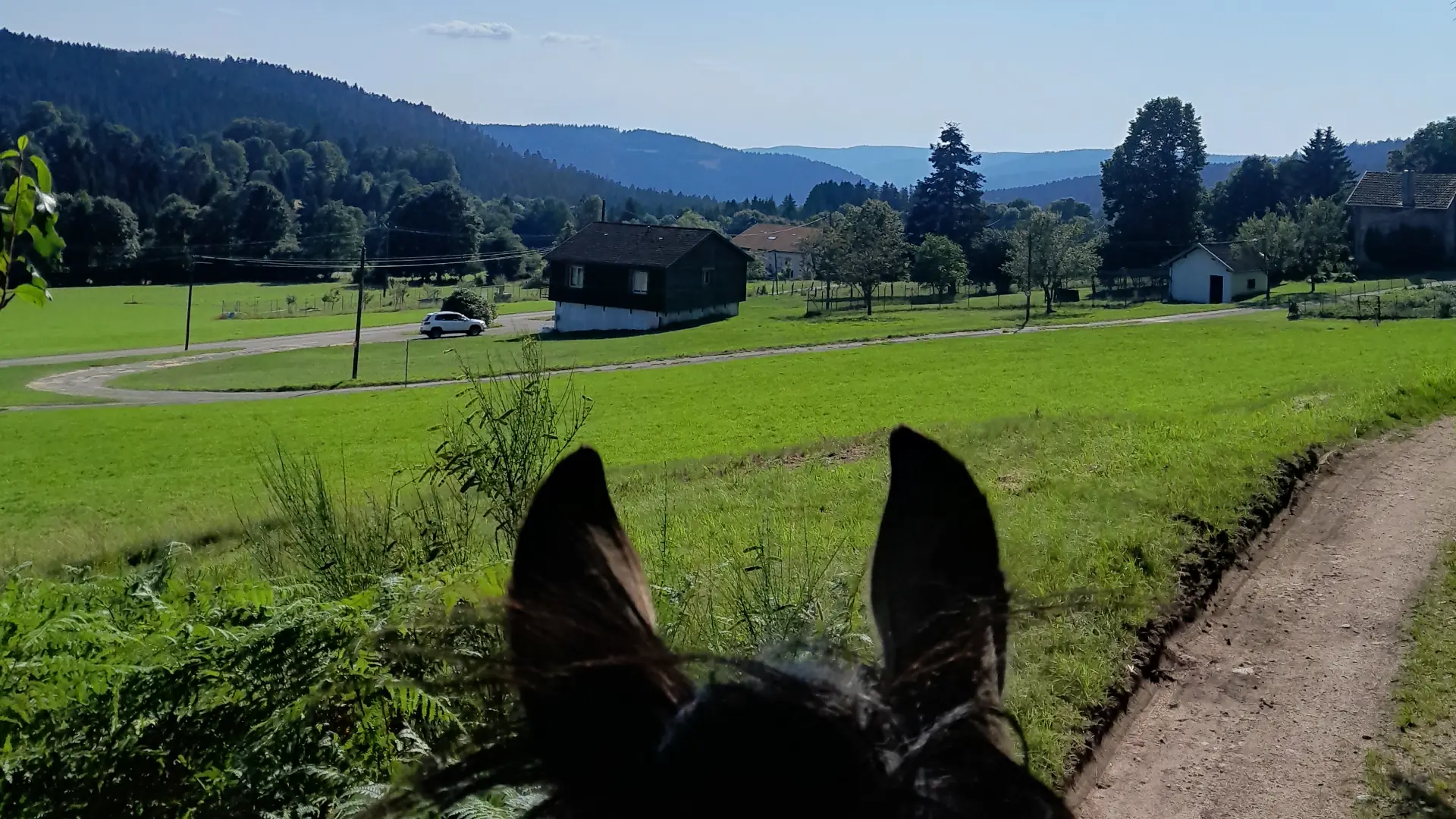 Ballade à cheval terroir
