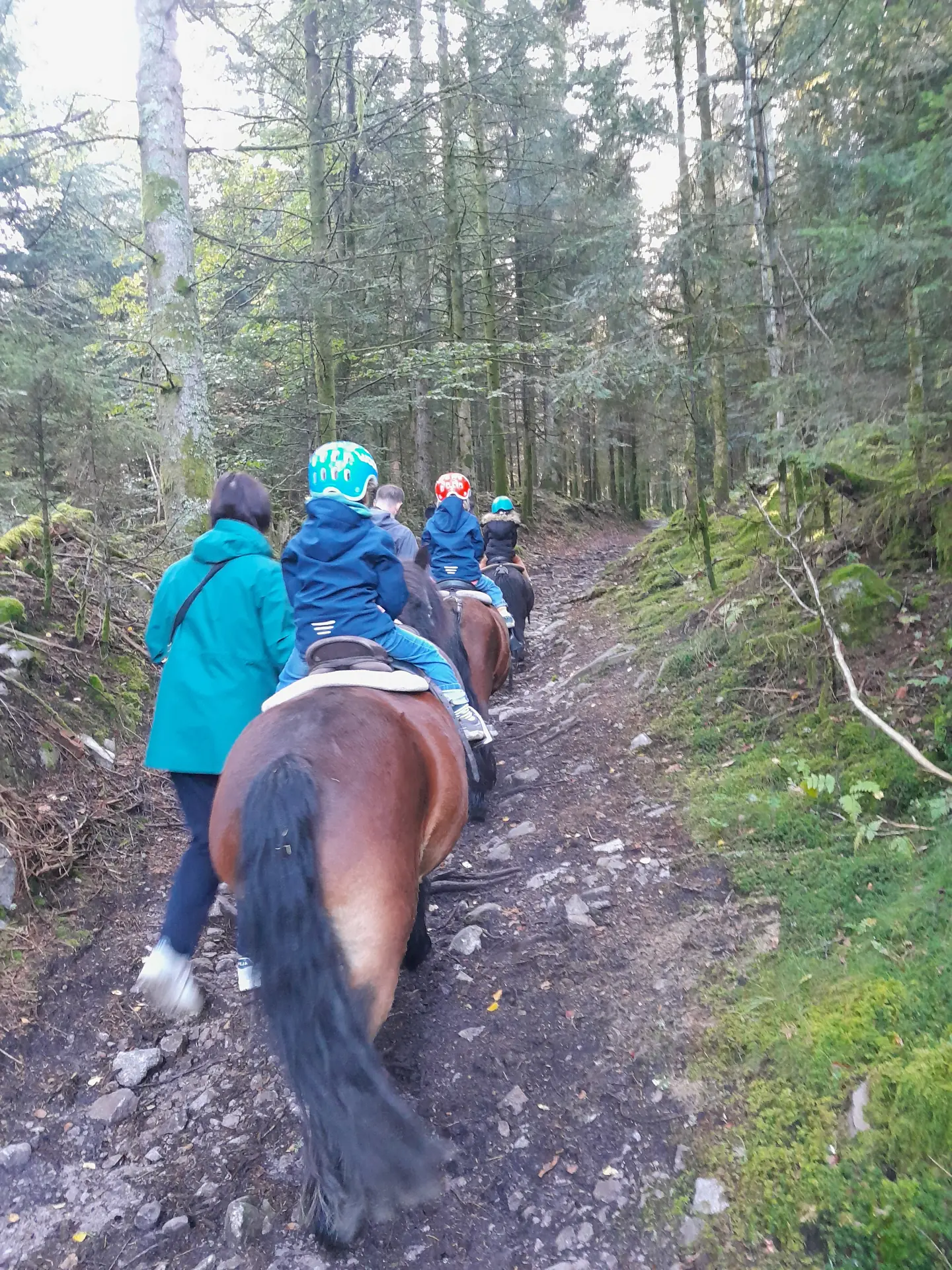 Ballade à cheval en famille