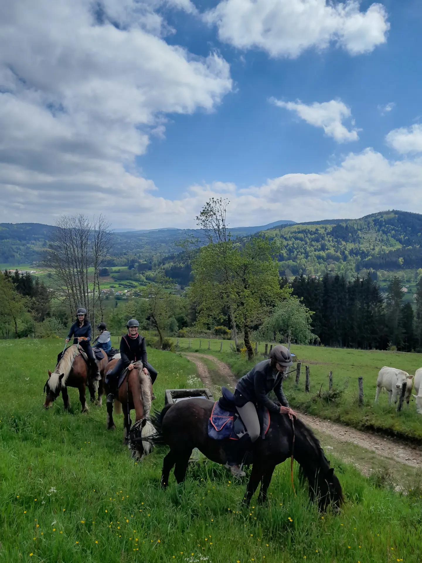 Ballade à cheval pour confirmé