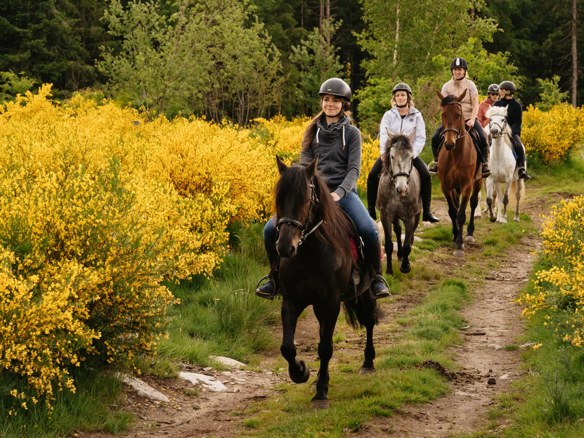Ballade à cheval pour confirmé