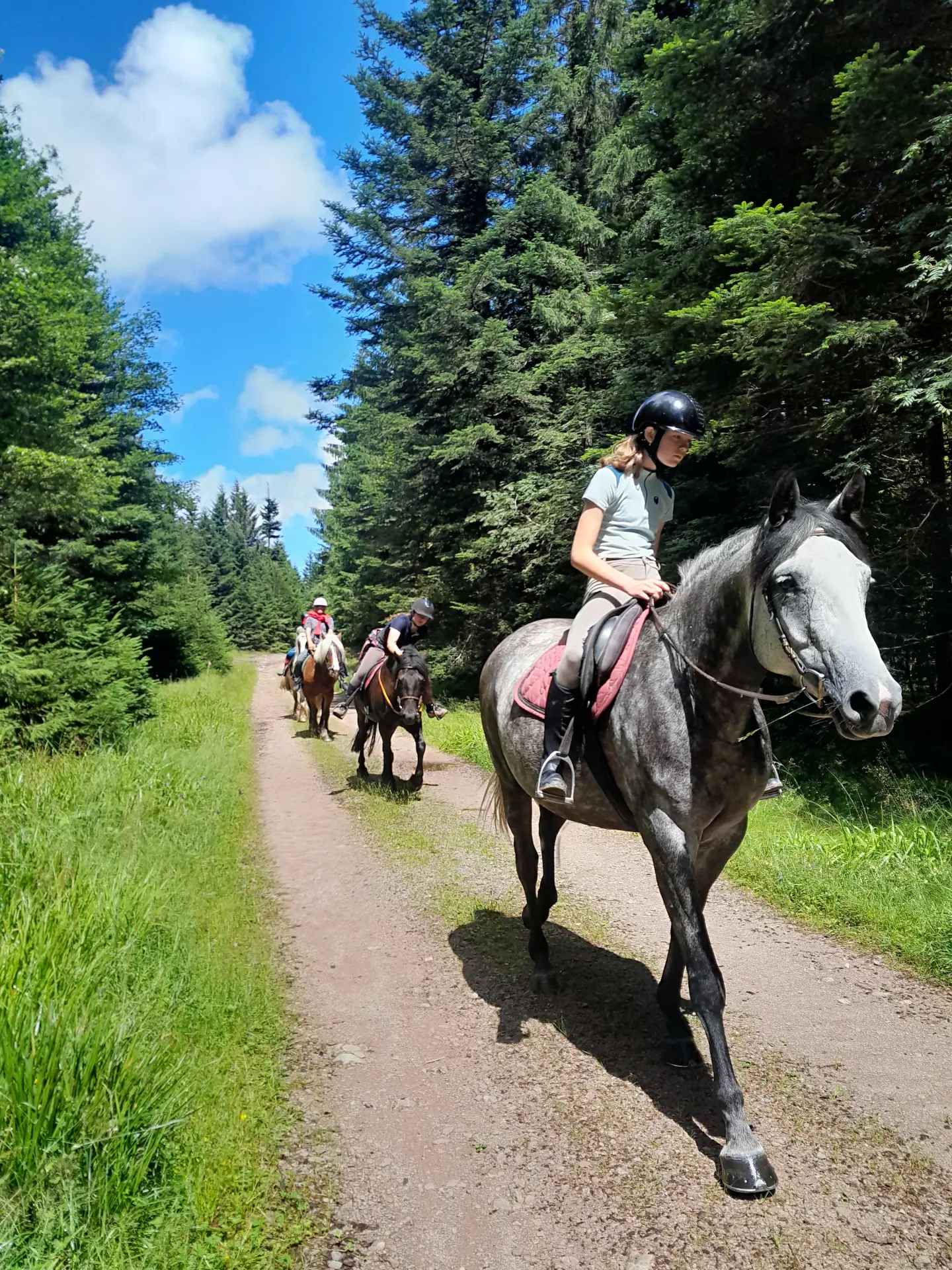 Ballade à cheval pour débutant