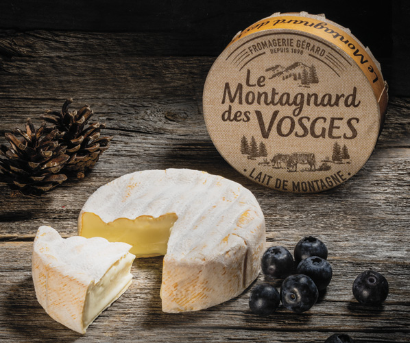 Ballade à cheval pour débutant